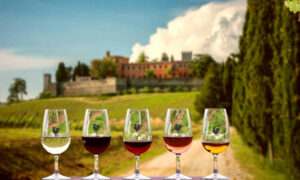 best chianti wineries wine tours visit 768x461 1 300x180